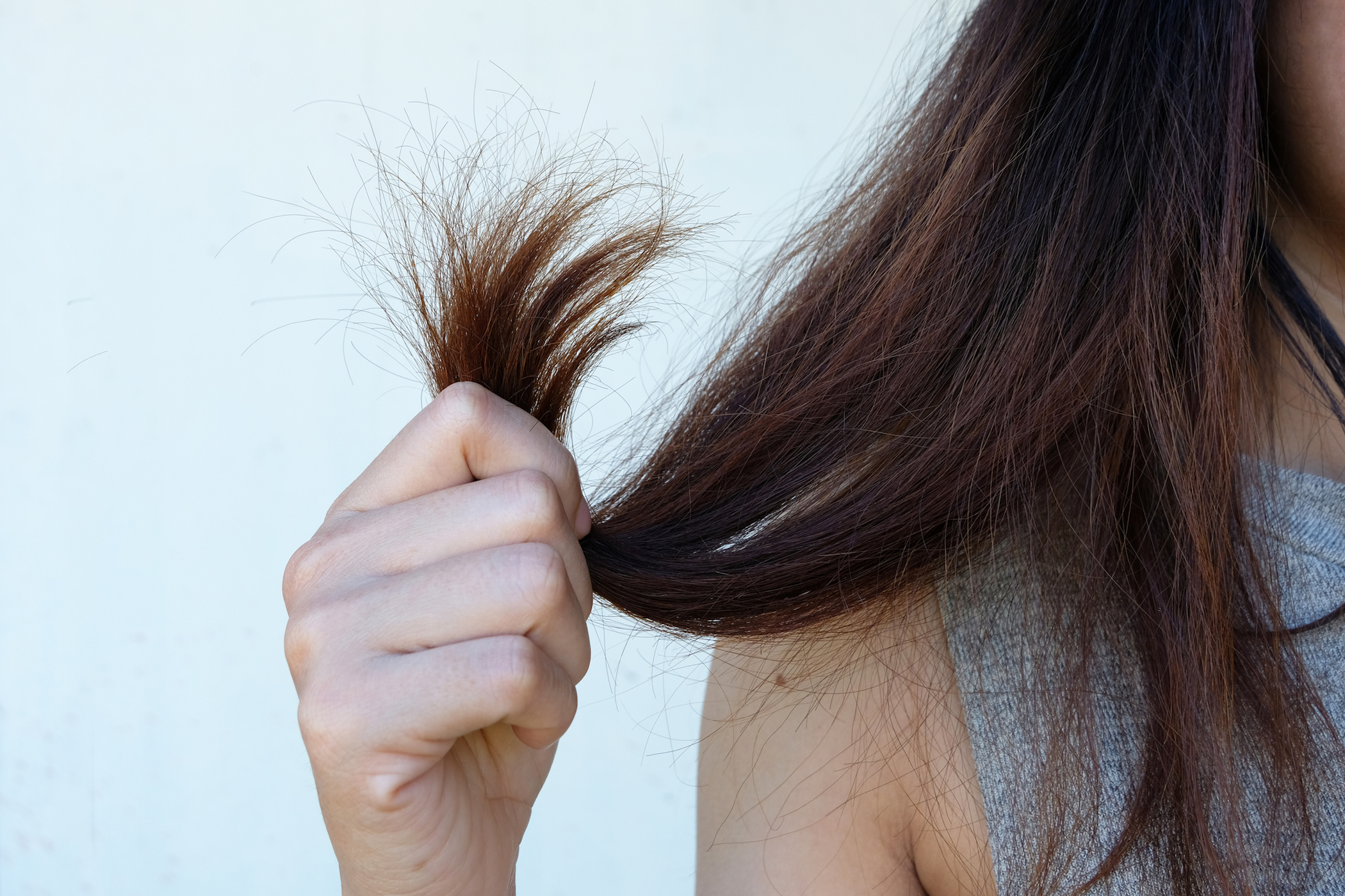 How To Say Split Ends In Spanish