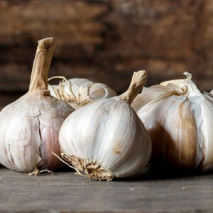 Garlic